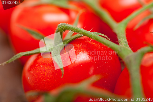 Image of fresh cherry tomatoes on a cluster
