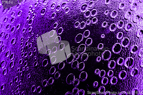 Image of Purple Rain