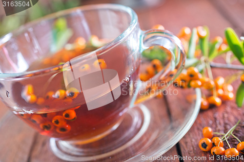 Image of fresh tea