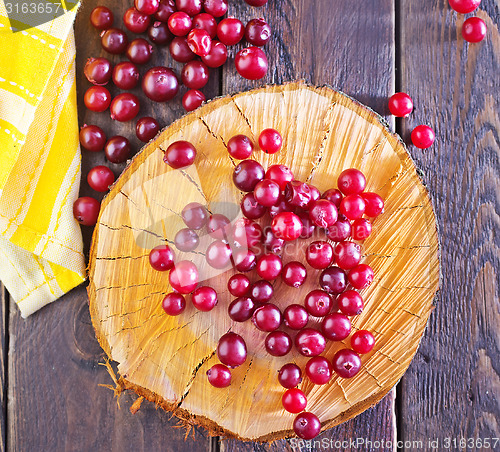 Image of cranberry