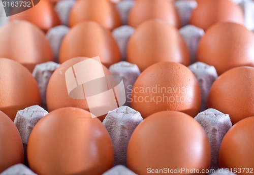 Image of raw eggs