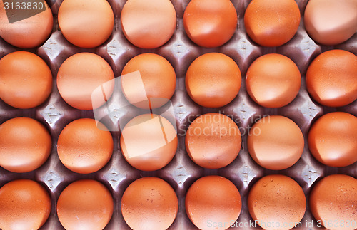 Image of raw eggs