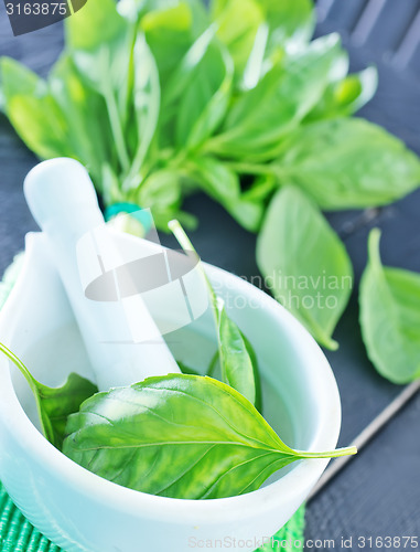 Image of basil