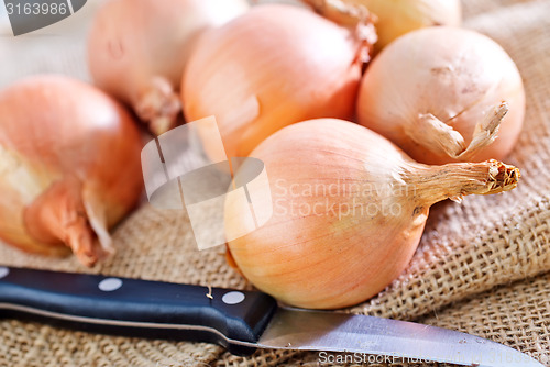 Image of raw onion