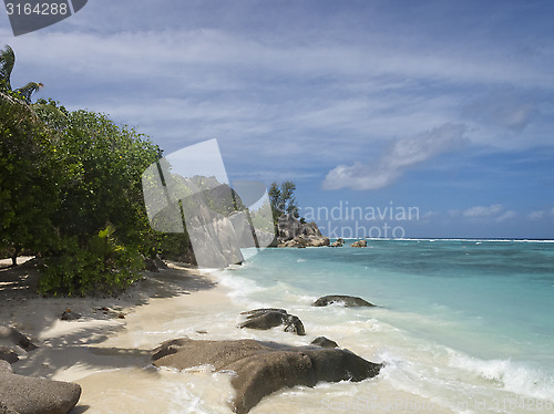 Image of tropical island beach