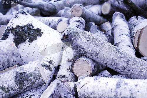 Image of Fire wood covered by hoar-frost