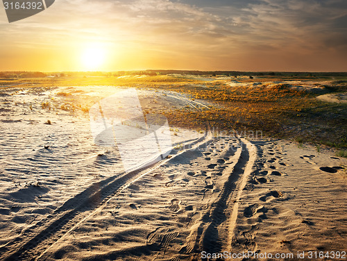 Image of Traces in desert