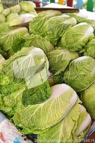 Image of Chinese lettuce on sale in the market