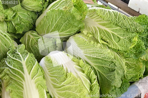 Image of Chinese lettuce on sale 