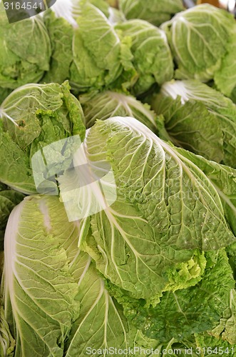 Image of Chinese lettuce on sale
