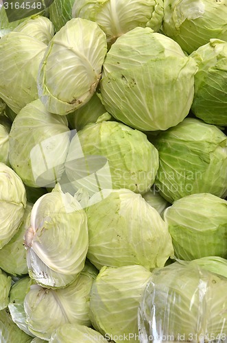 Image of Cabbage on sale in the market