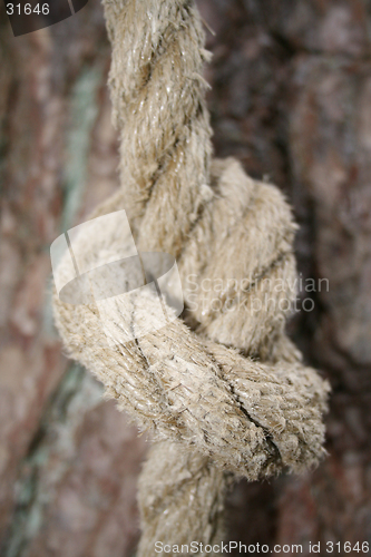 Image of Knot