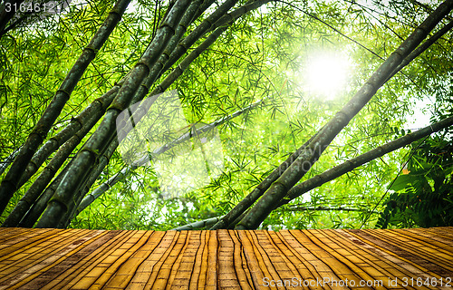 Image of Bamboo forest with a floor