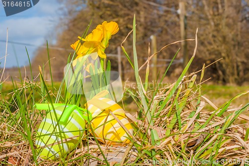 Image of Easter eggs and daffodils