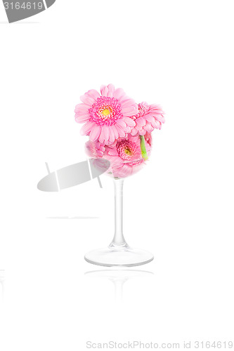 Image of Flowers in a glass
