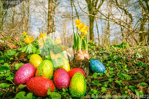 Image of Easter eggs in a forest