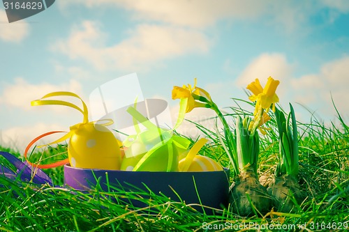Image of Easter photo with eggs and daffodils