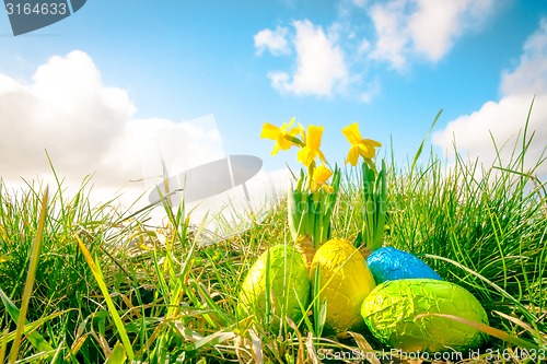 Image of Easter eggs in green grass