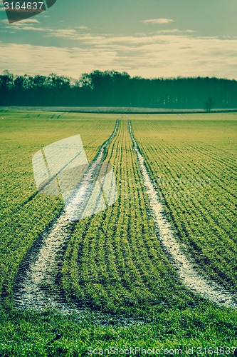 Image of Green field with tracks