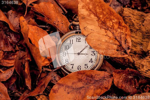 Image of Clock in the autumn