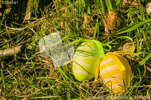 Image of Easter eggs on grass