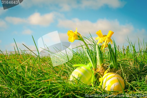 Image of Easter eggs and yellow daffodils