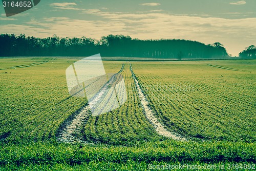 Image of Tracks on a green field