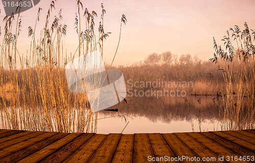 Image of Bridge by an idyllic lake