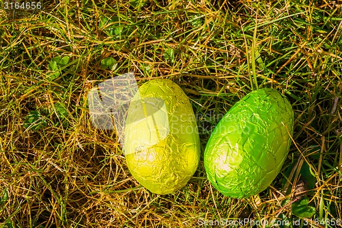 Image of Colorful easter eggs in grass