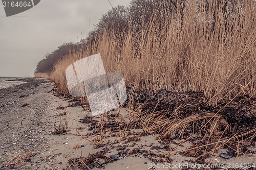 Image of Beach in the winter