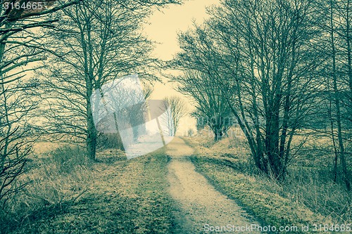 Image of Nature path with trees