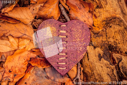 Image of Heart on autumn leaves