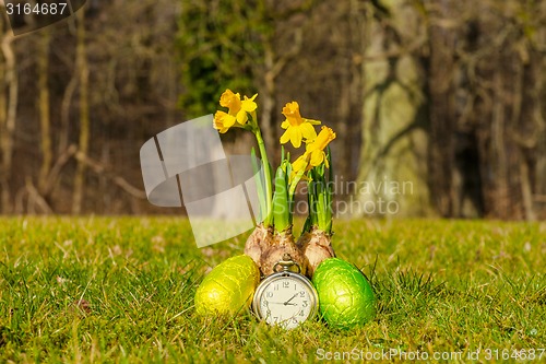 Image of Easter time with daffodils and eggs