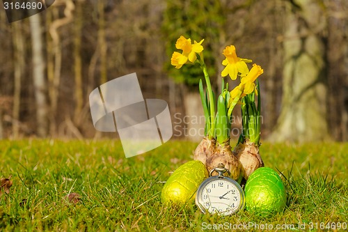 Image of Easter time with eggs and daffodils