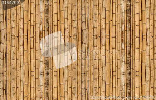 Image of Bamboo background in vertical alignment