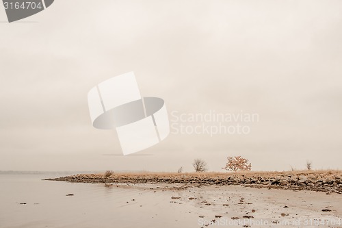 Image of Lake scenery in the fall