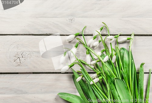 Image of Snowdrop flowers on wooden background