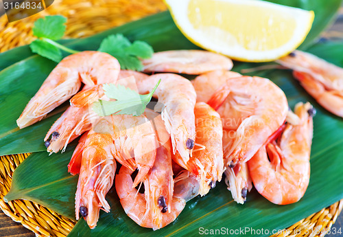 Image of shrimps