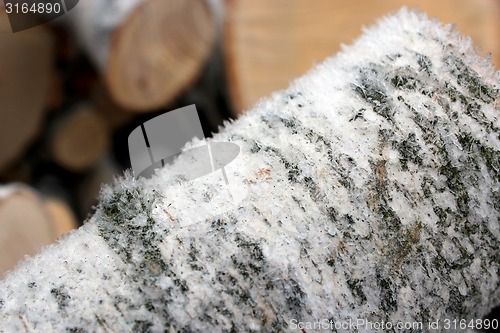 Image of Fire wood covered by hoar-frost