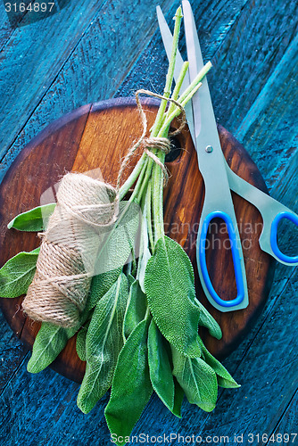 Image of aroma sage