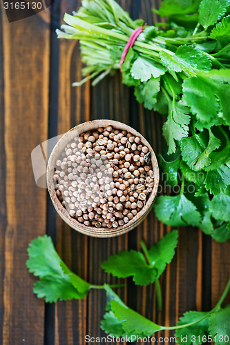 Image of coriander