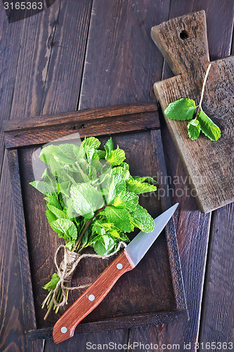 Image of fresh mint