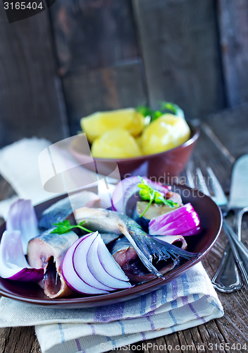 Image of herring