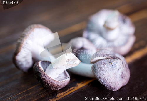 Image of mushrooms