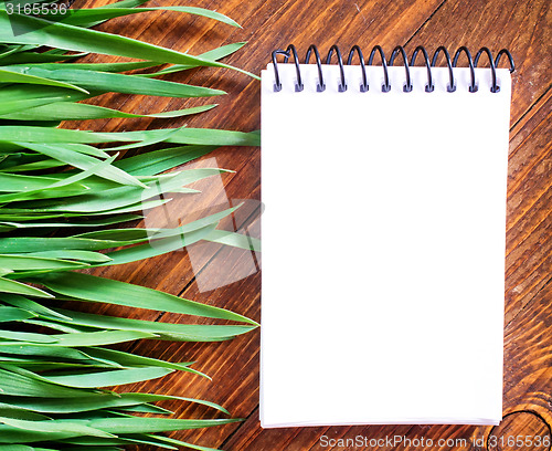 Image of background