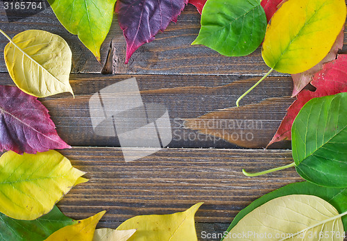 Image of automn background