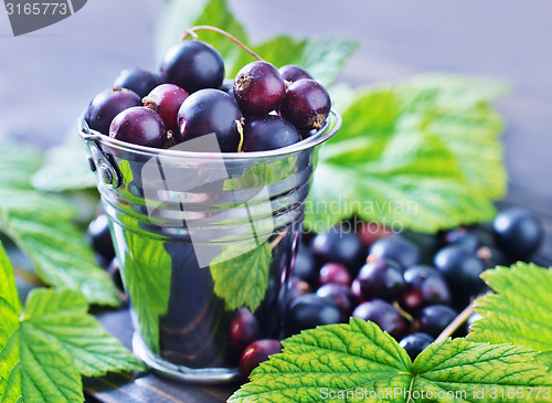 Image of black currant