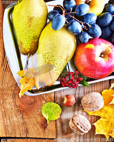 Image of autumn harvest