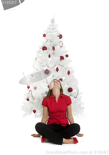 Image of Christmas beauty
