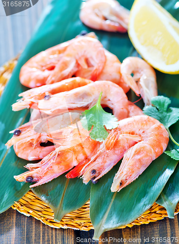 Image of shrimps